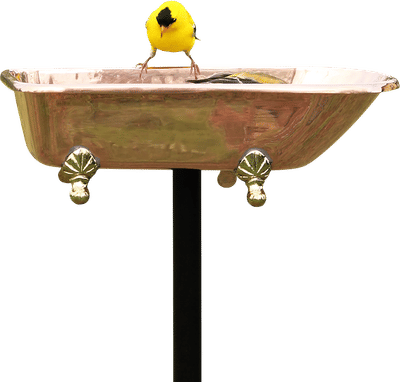 Splish Splash Birdbath, Polished Copper
