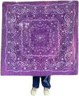 Big Ass Bandana