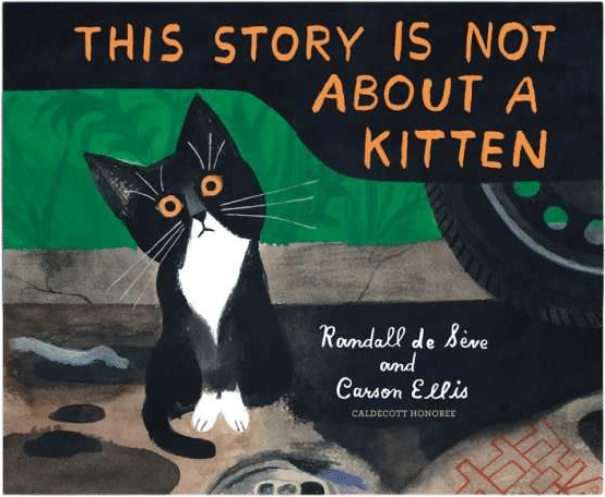 This Story is Not About A Kitten