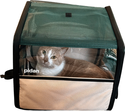 pidan Backpack Cat Carrier