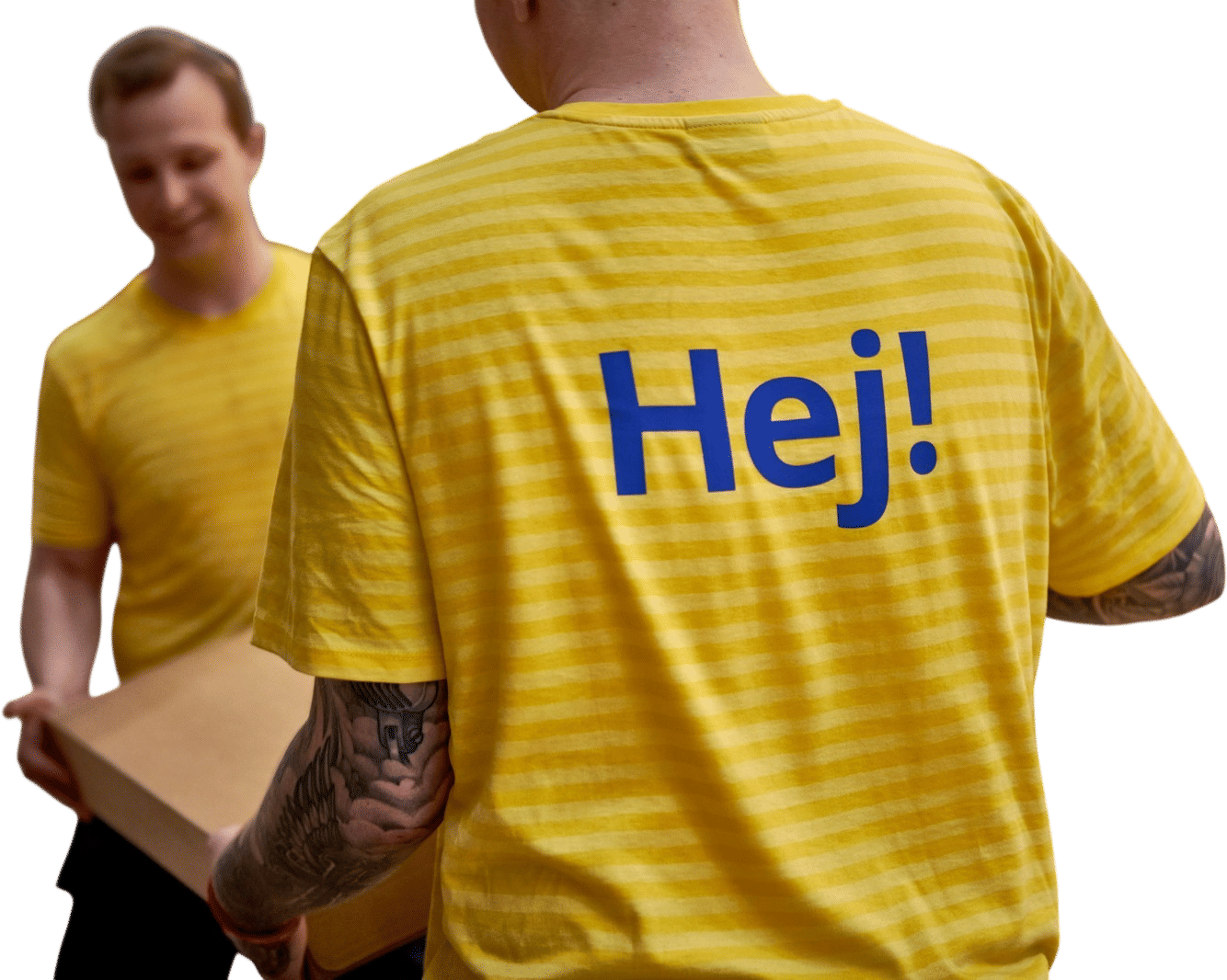 Solo Halloween Costume: IKEA employee
