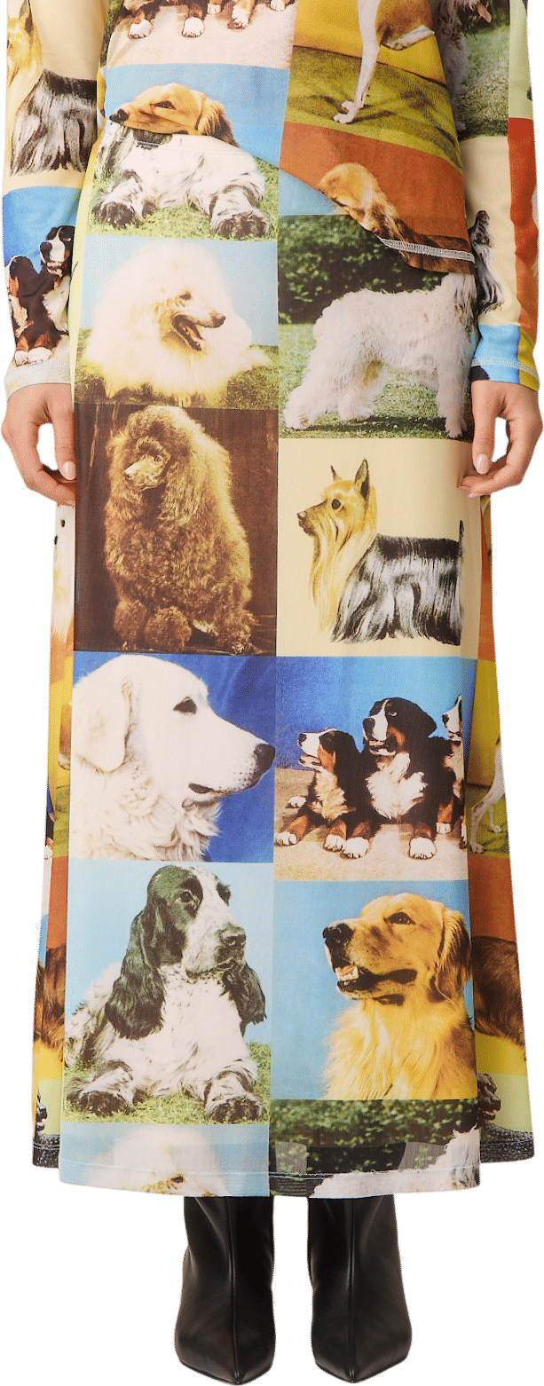 Dog Set