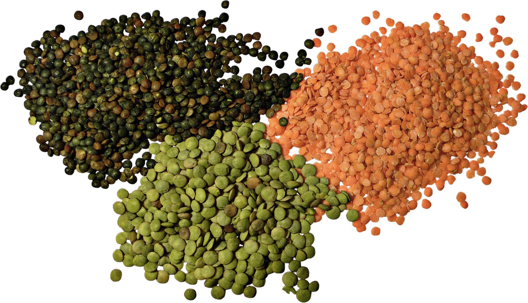 lentils