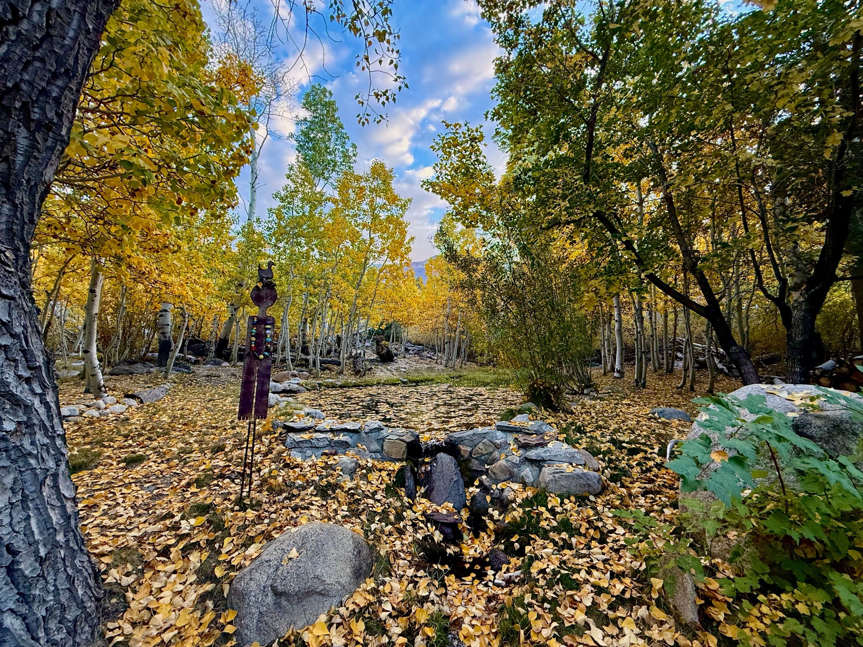 Fall Colors