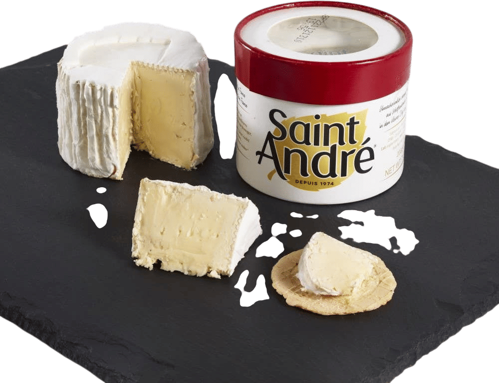 Saint Andre Cheese