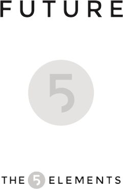 Future 5 Elements Face Masks | Natural & Effective Skincare for All Skin Types - Future Cosmetics The 5 Elements