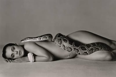 Nastassja Kinski and the Serpent (1981)