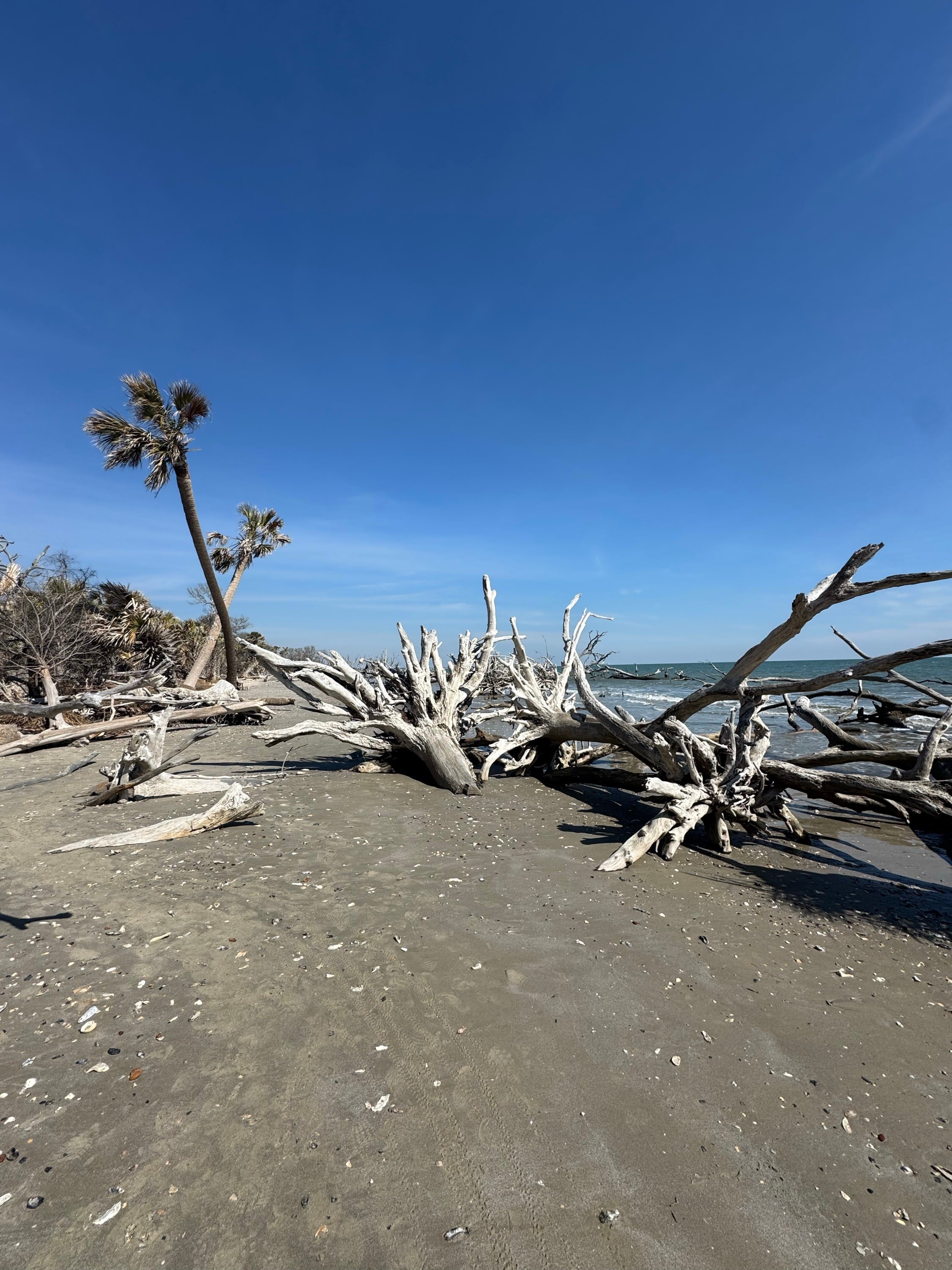 Botany Bay