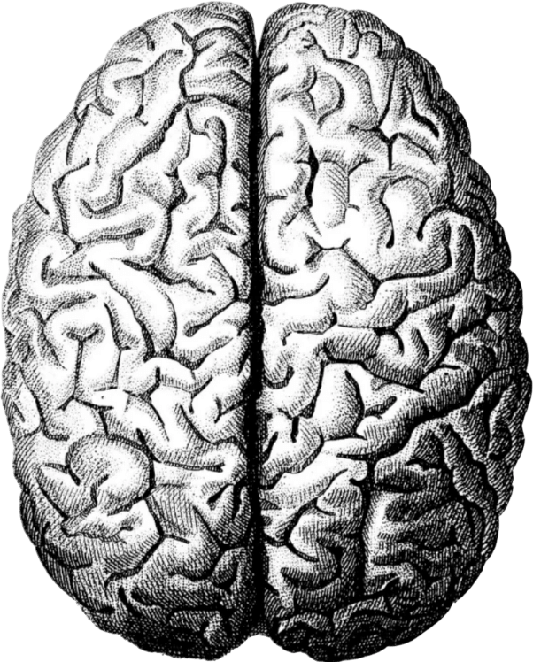 Brainspotting