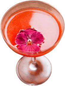 @vandell.losangeles (on hillhurst)