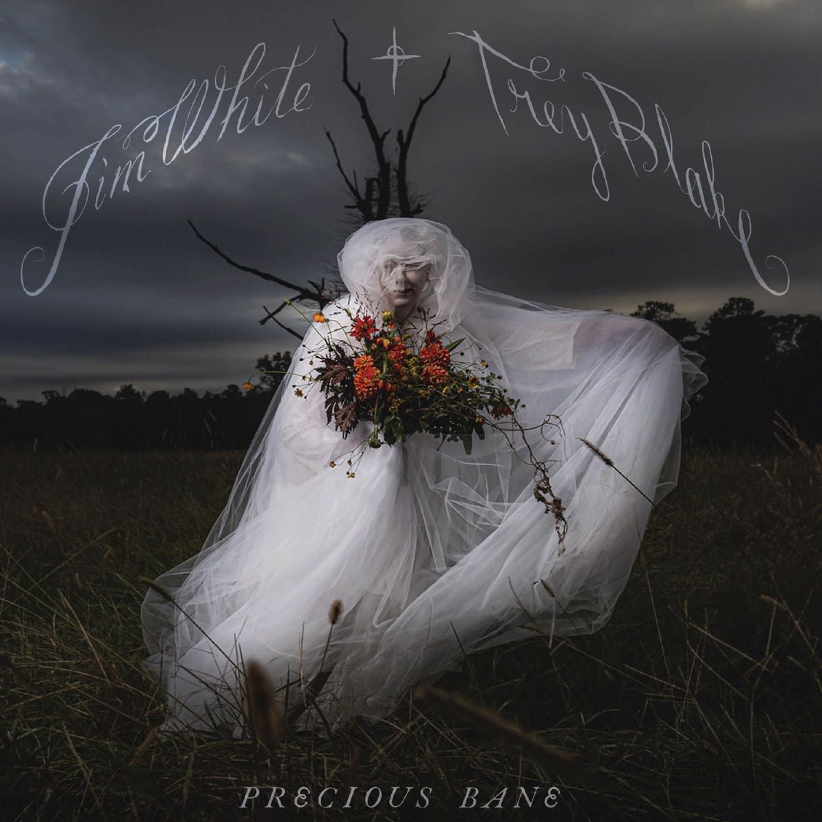 finding out an old favorite released a perfect new(er) album