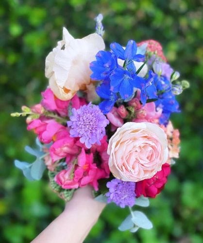 grow your own wedding flowers