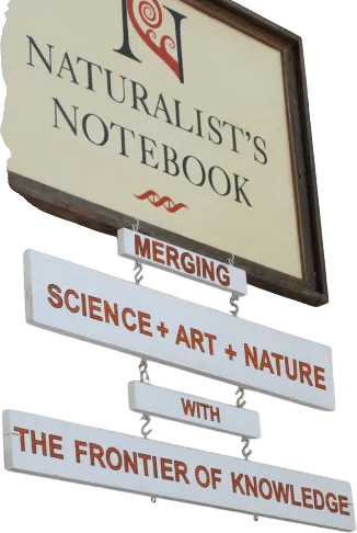 The Naturalist's Notebook