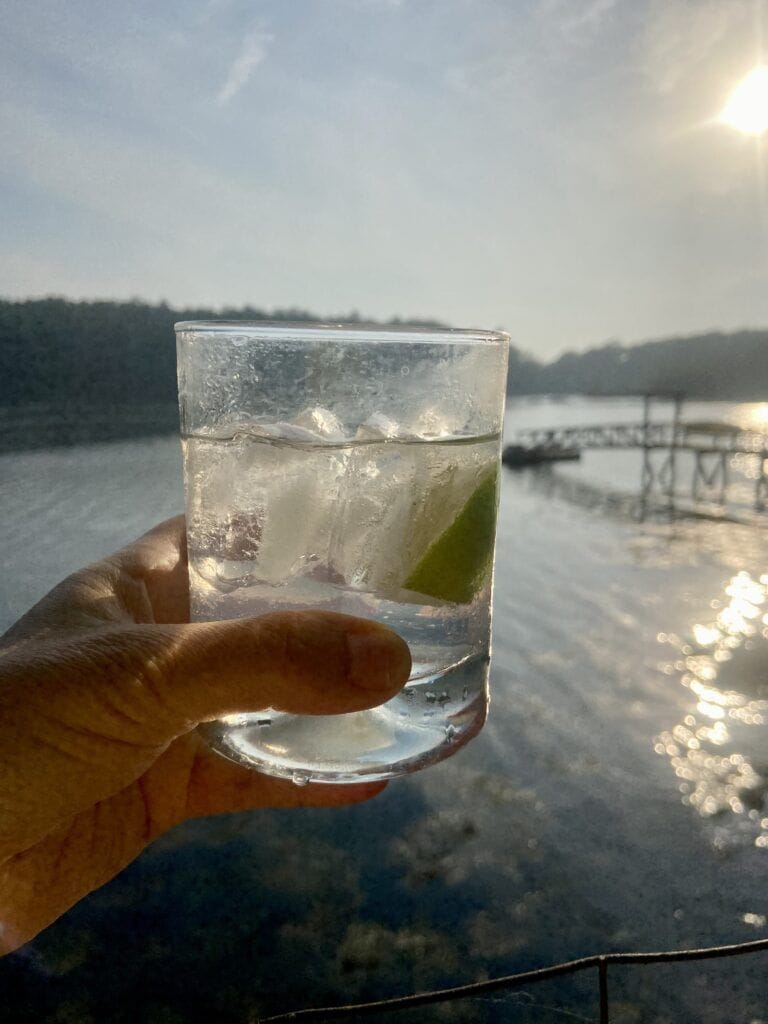 A gin & tonic