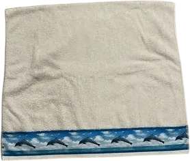 Bath Towel with Dolphin accent