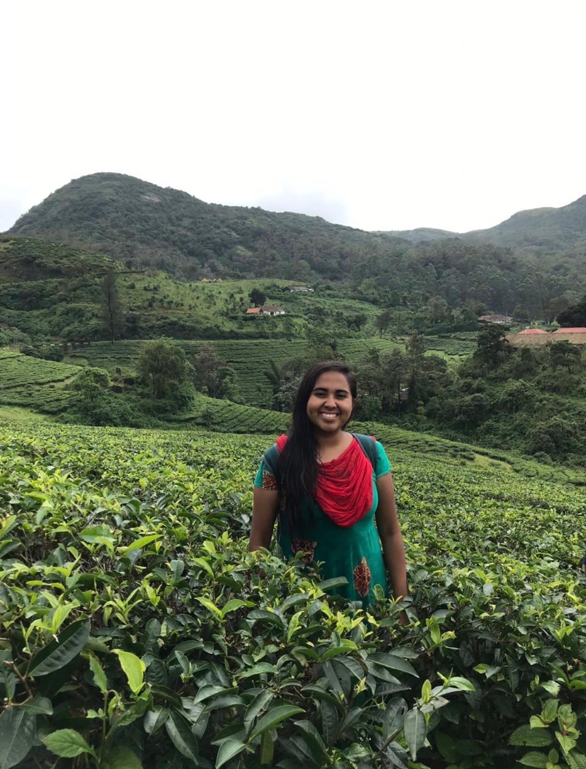 Kerala Tea Plantations