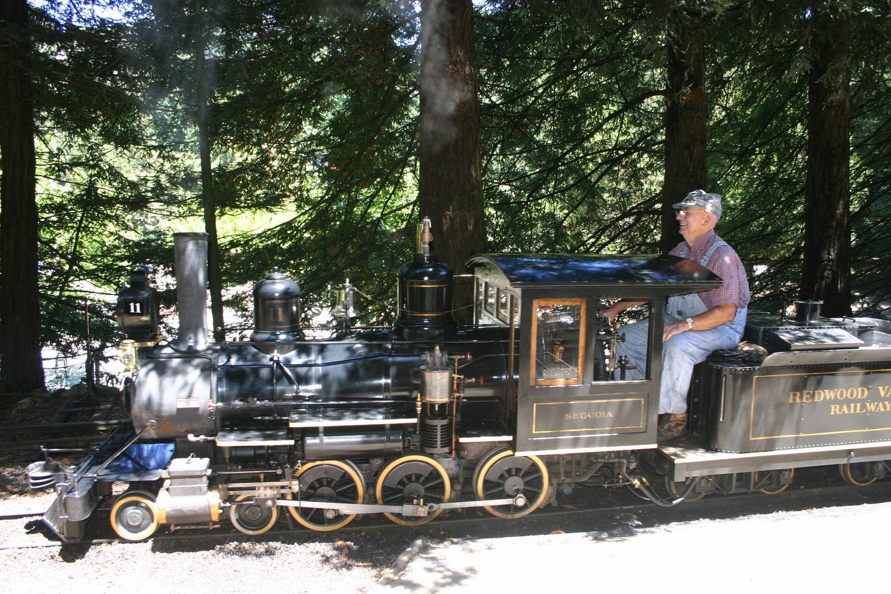 Tilden Steam Train