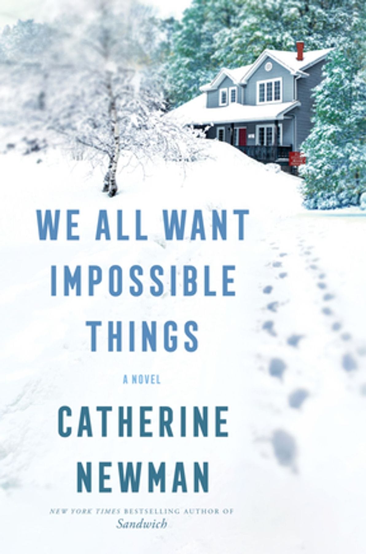 We All Want Impossible Things (Catherine Newman)