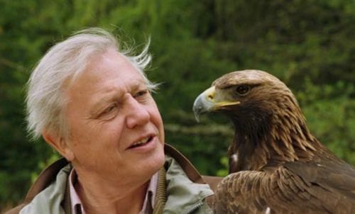 Attenborough's best documentaries