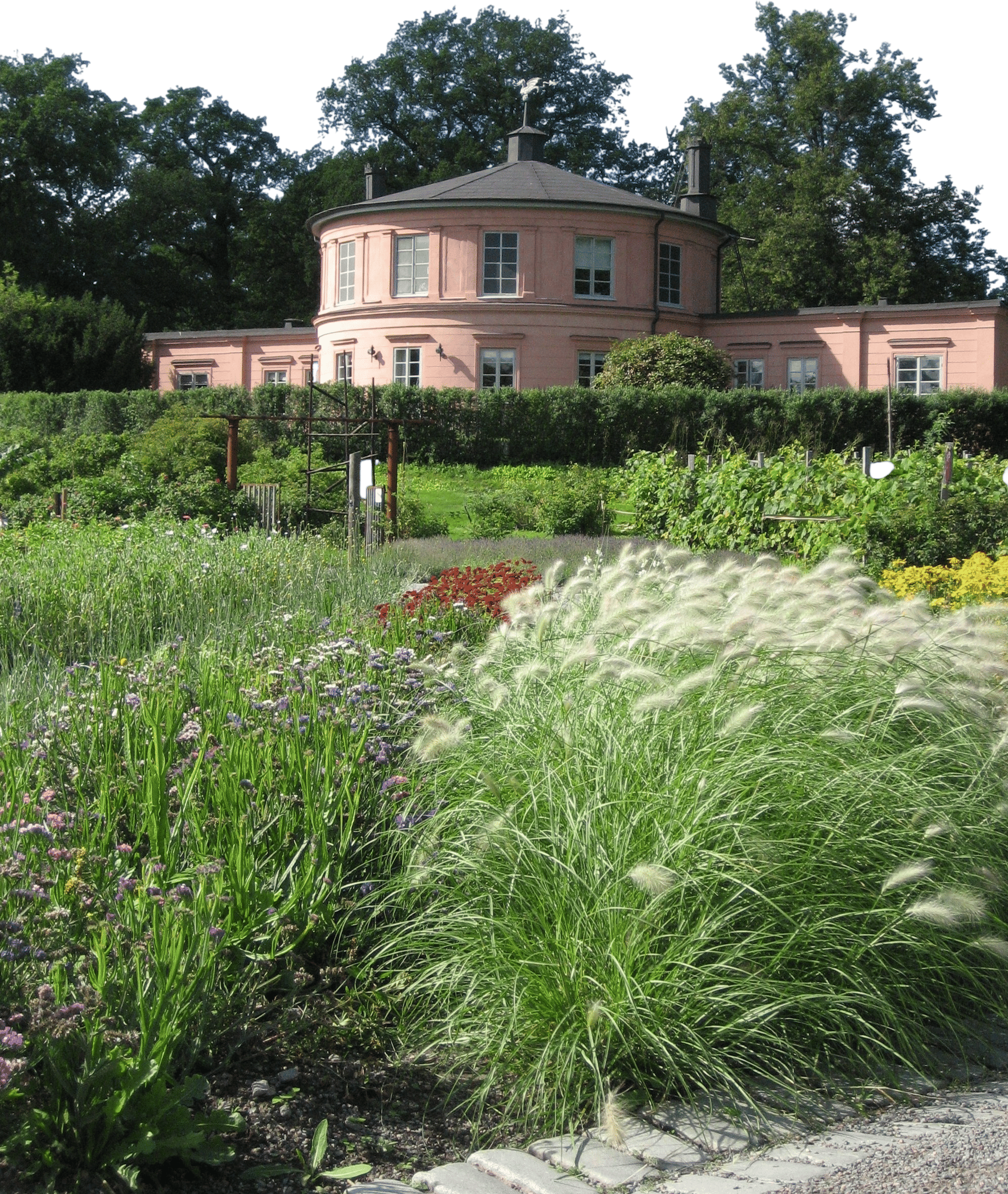 Rosendals Trädgård