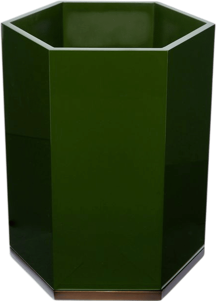 Lacquered Hexagonal Bin