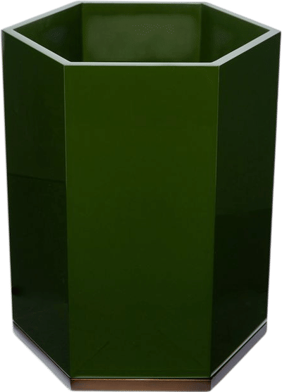 Lacquered Hexagonal Bin