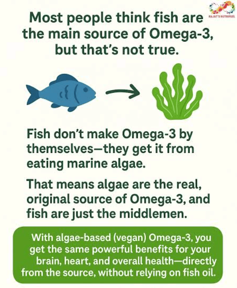 ALGAE-based Omega 3's