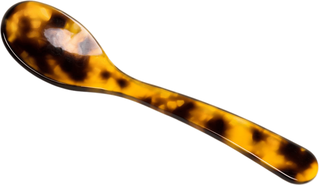 Porto Piccolo Spoon