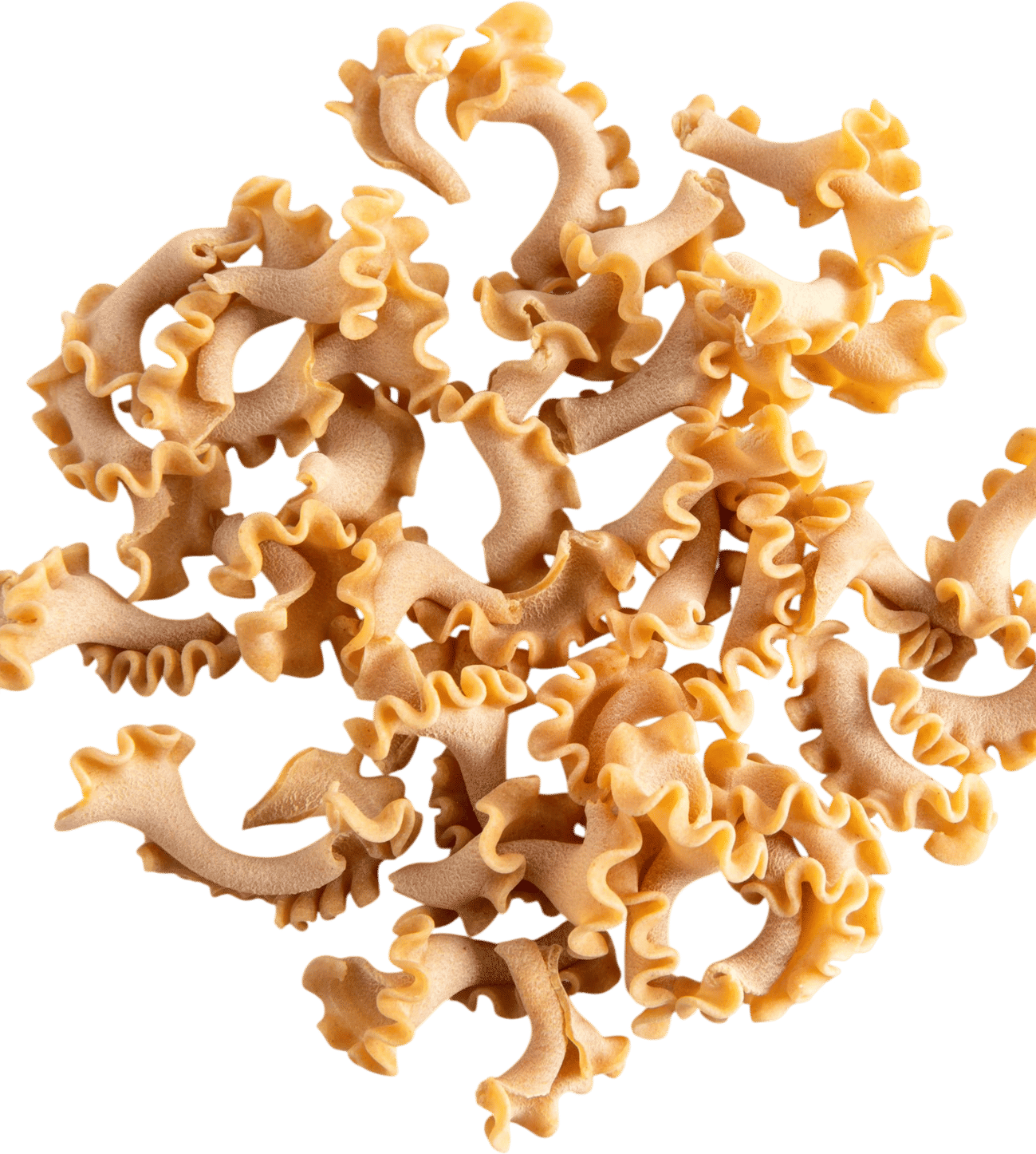 Campanelle Pasta