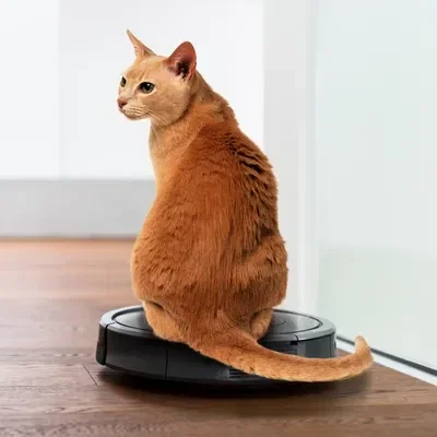 robot vacuum / roomba