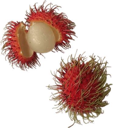 rambutan