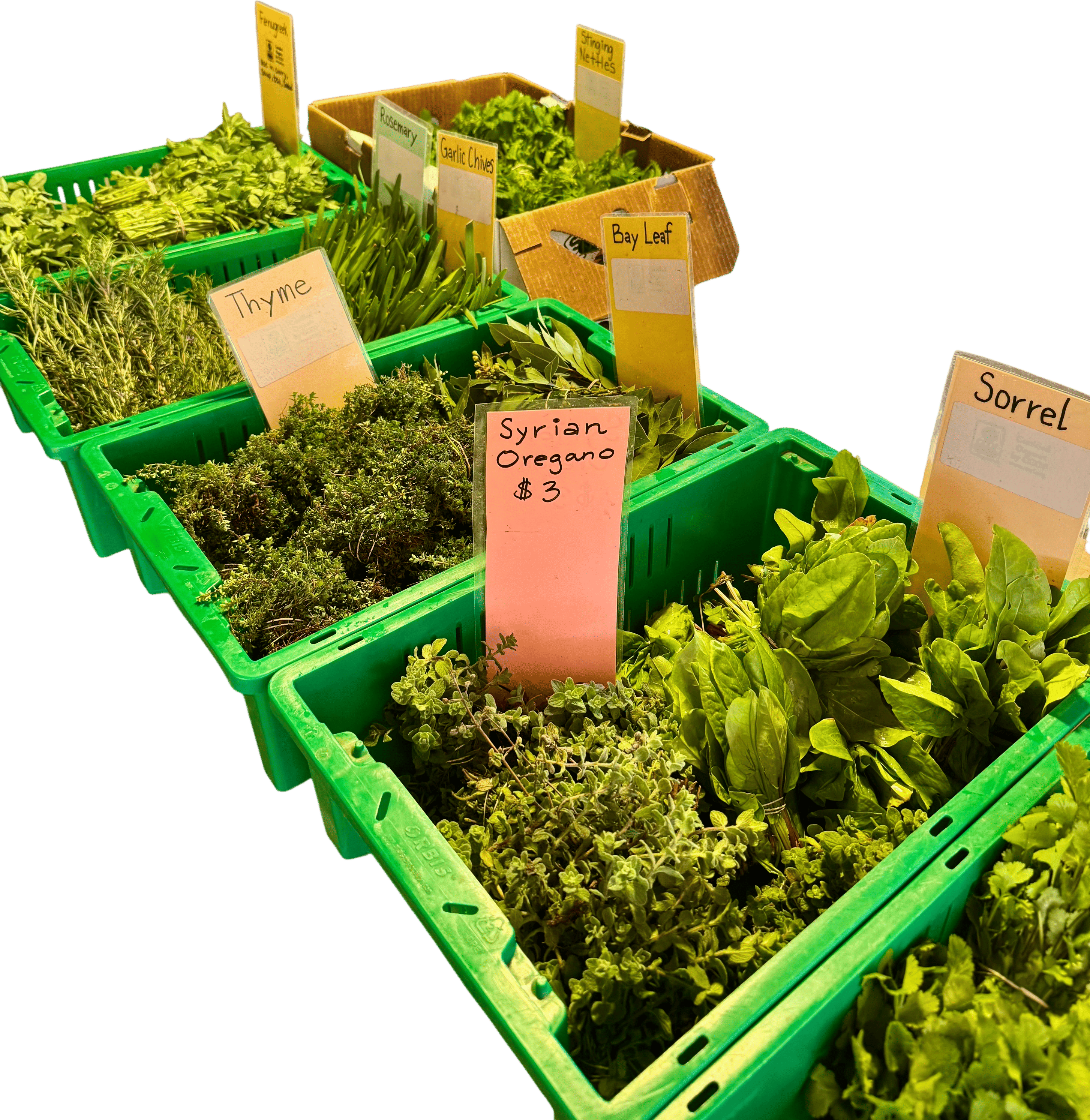 Members-Only Recommendation