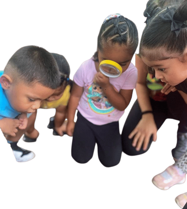 Bilingual Leap