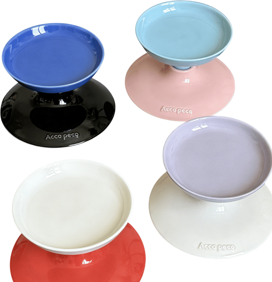 MuseStand Pet Bowl Set
