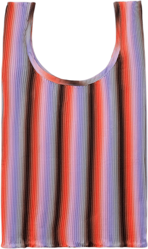 Pleated Baggu | Gradiant Stripe