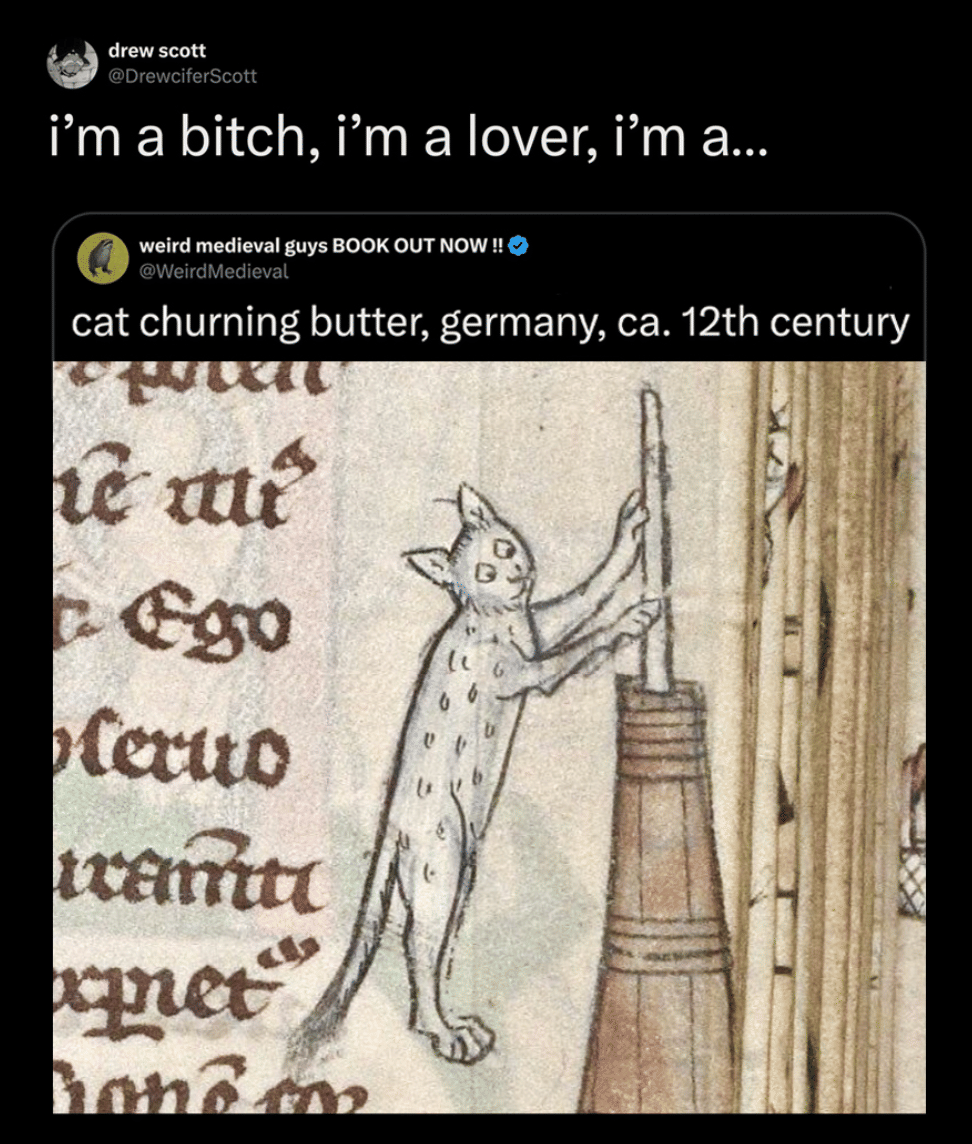 I'm a bitch, I'm a lover, I'm a cat churning butter