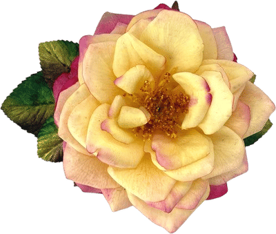Huntington's 100th Centennial Rose Pin