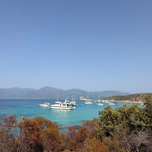if you ever find yourself in corsica