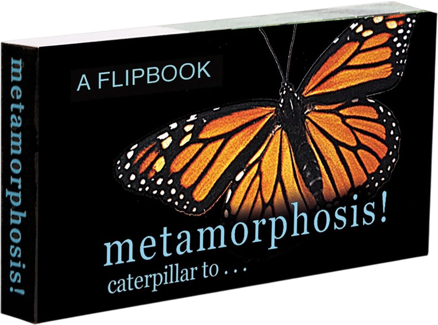 Butterfly Metamorphosis Flipbook