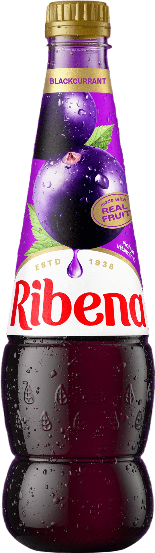 Blackcurrant Soft Drink /// Ribena