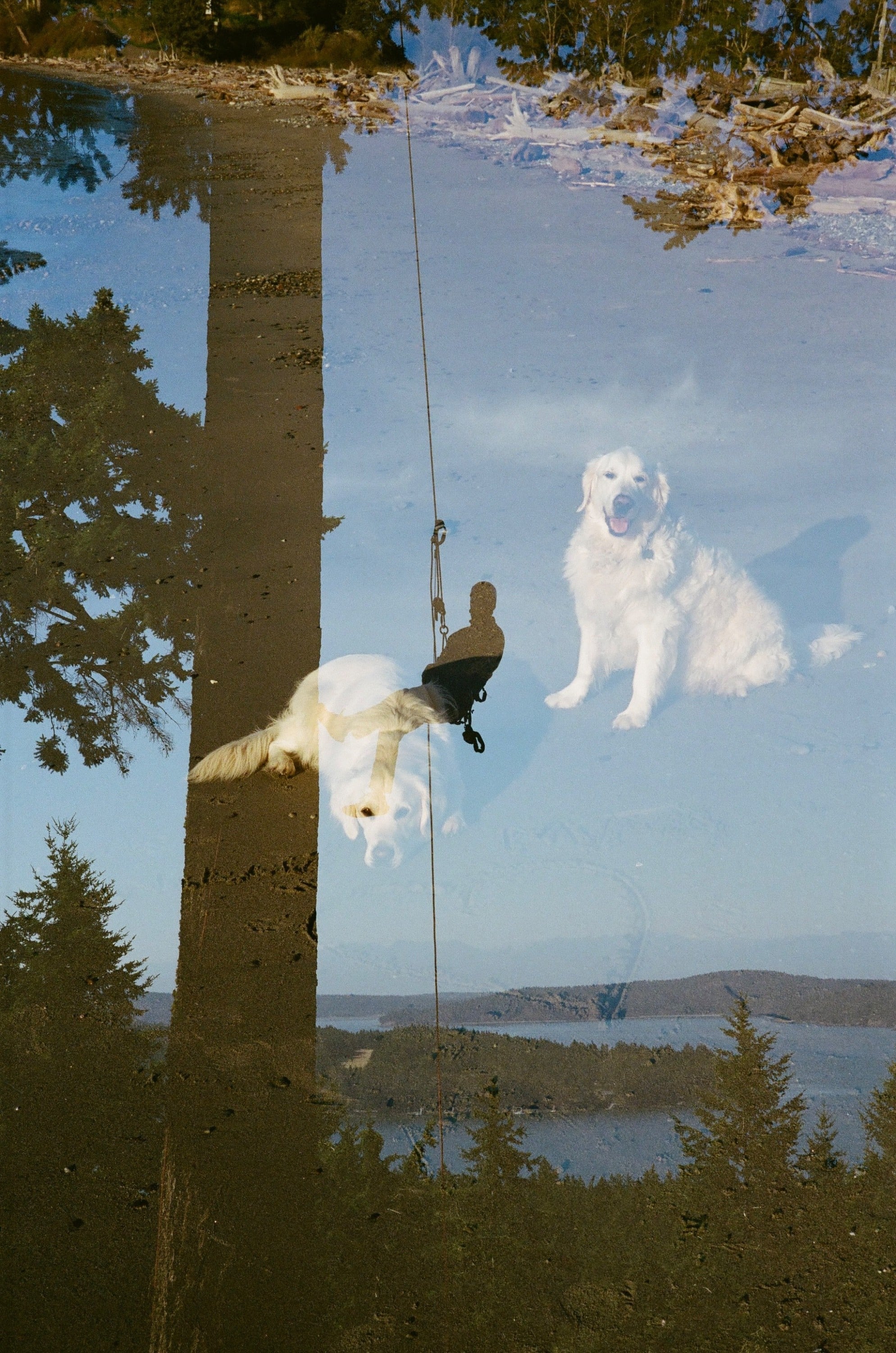 accidentally double shooting your film roll