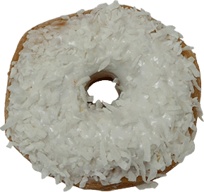 Vanilla Coconut Donut