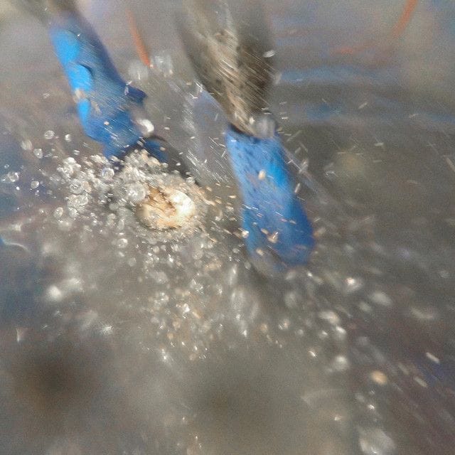 Squeegees on Ice