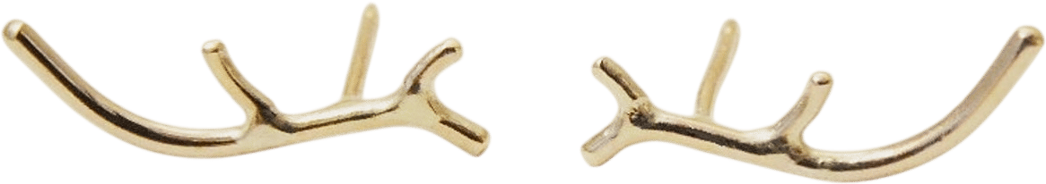 Small 14k Gold Filled Antler Earrings