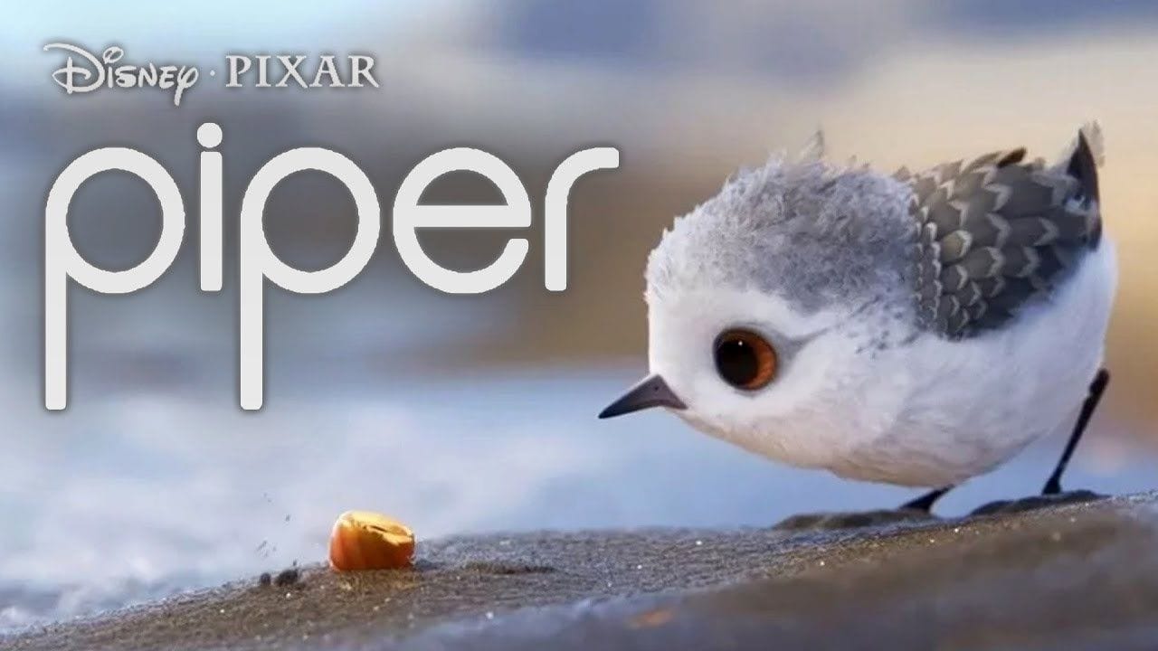 Piper - short film