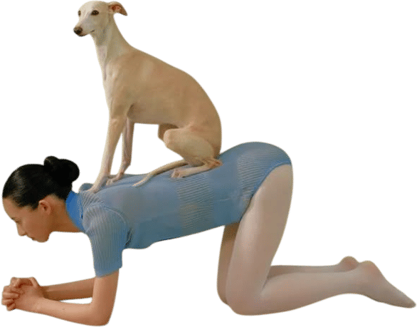 Members-Only Recommendation