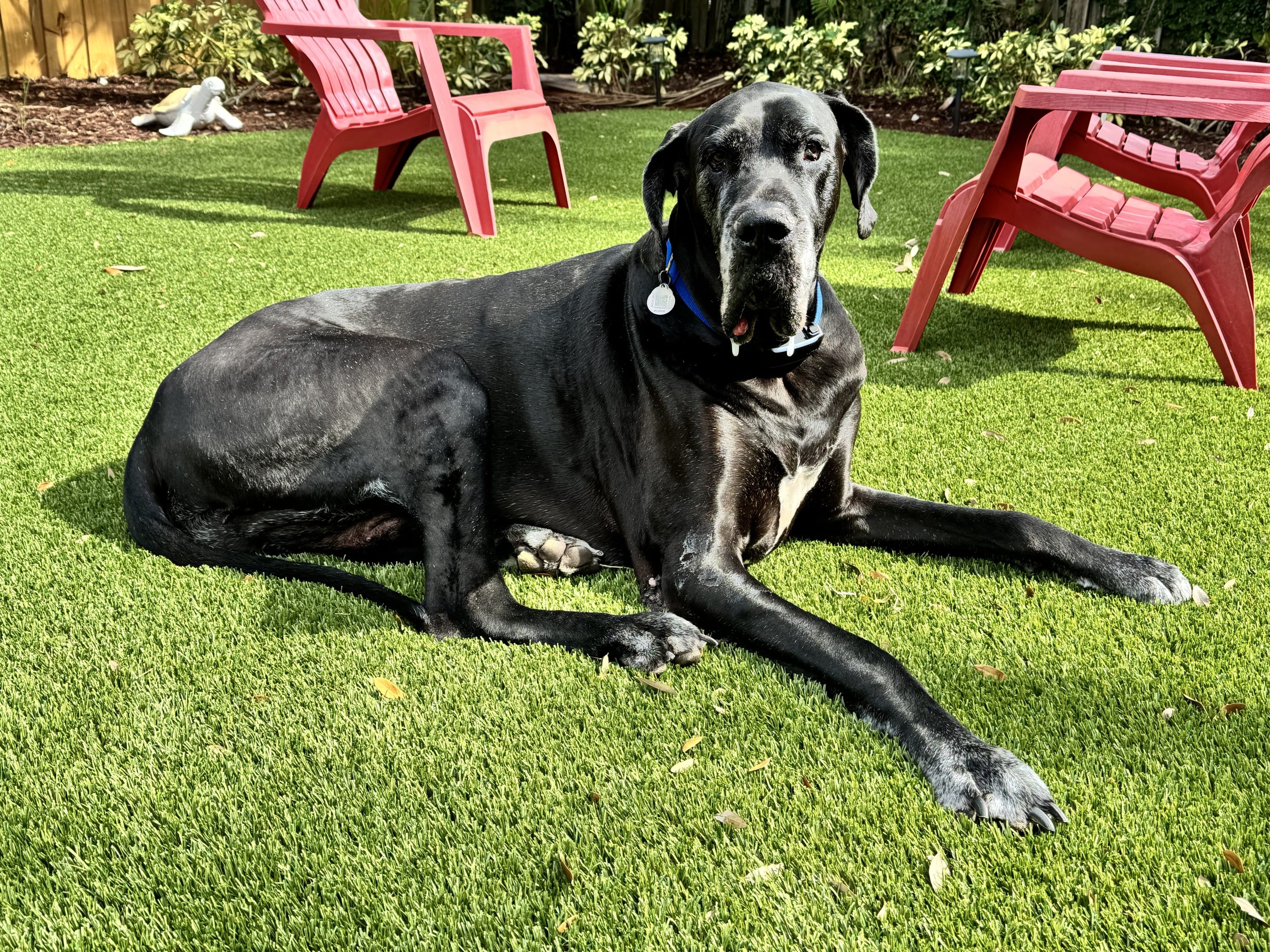 sunbather