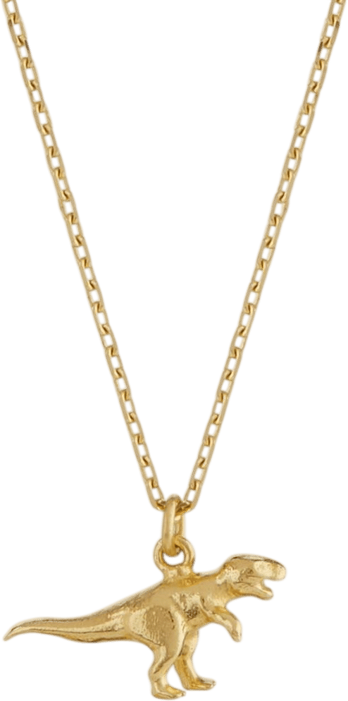 Alex Monroe Teeny Tiny T-Rex Necklace
