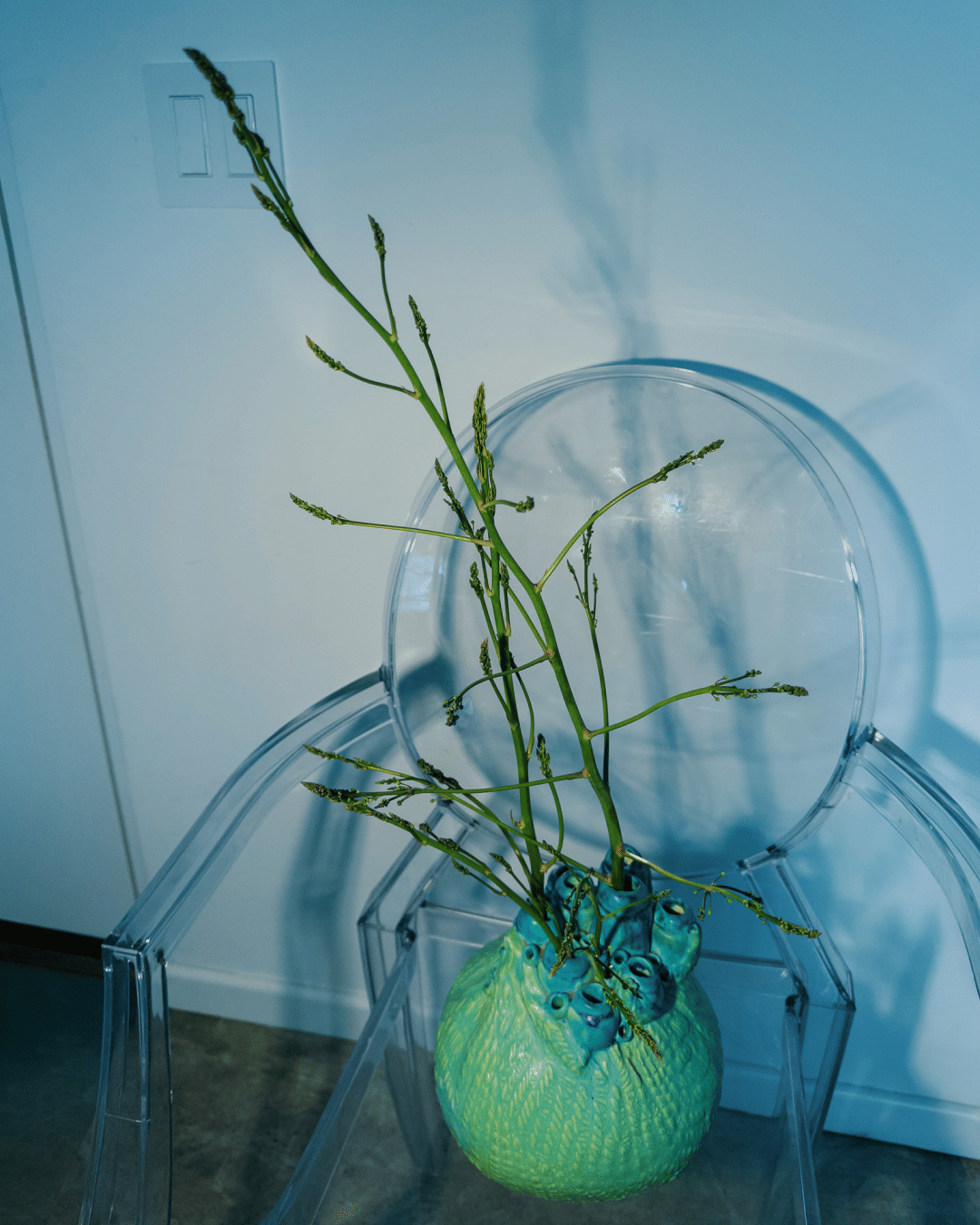 Asparagus ferns make fantastic arrangements & then you eat them.