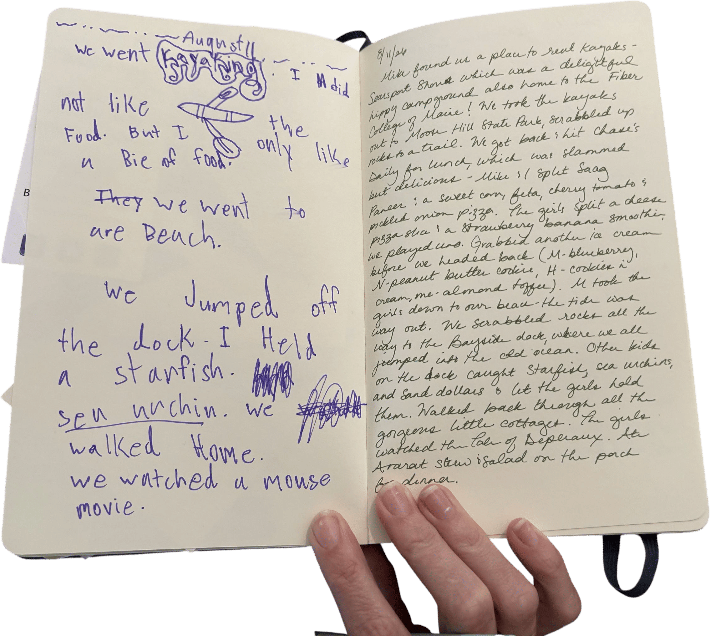 the vacation journal